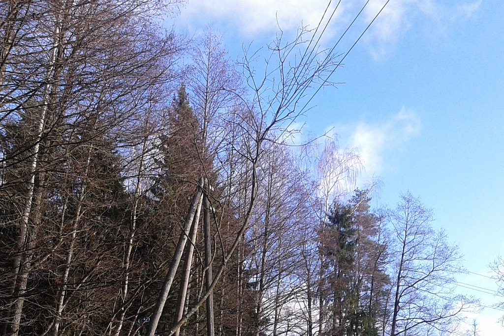 Koks nav liels, bet īssavienojumu izveidoja